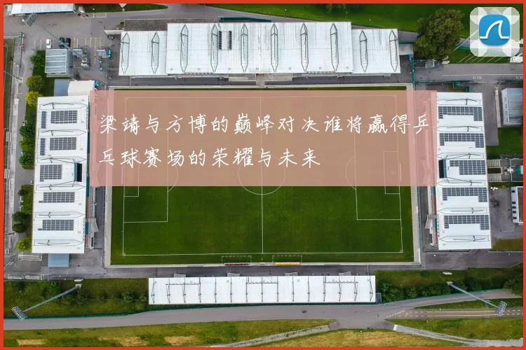 梁靖与方博的巅峰对决谁将赢得乒乓球赛场的荣耀与未来
